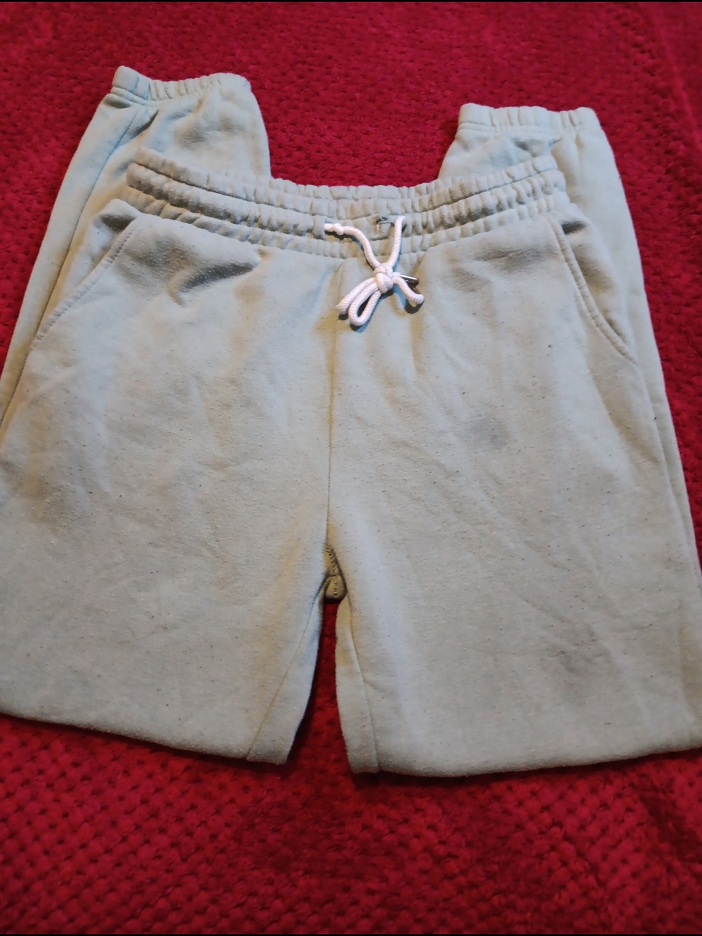 Forever 21 Light Sage Green Drawstring Sweat Shorts